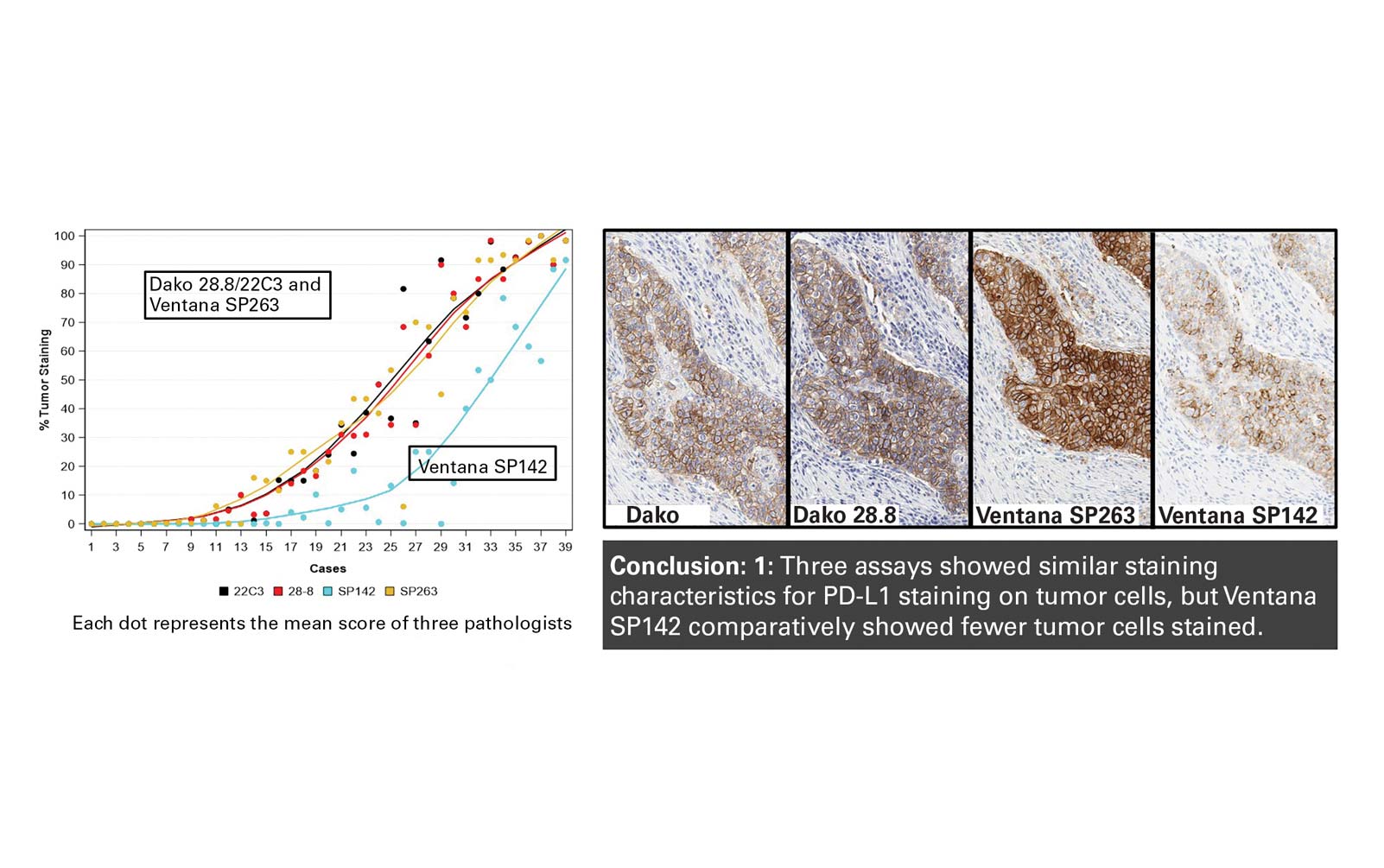 PD-L1 IHC Blueprint Project: Ongoing Progress Toward Consistency Among Assays