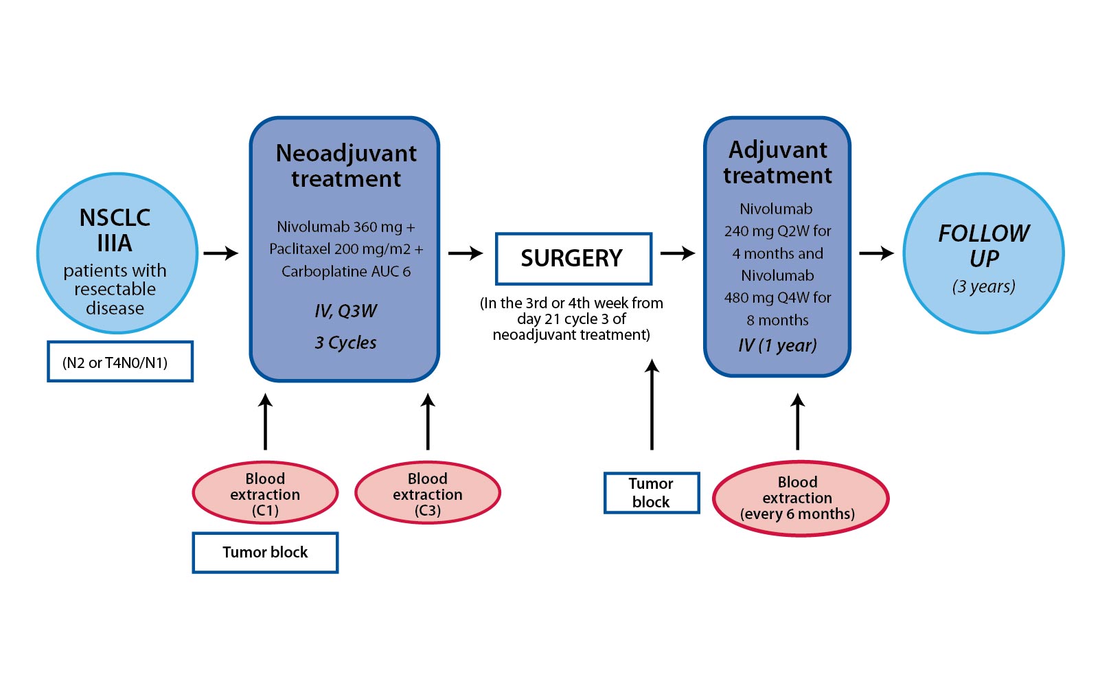 Neoadjuvant Nivolumab Shows Unprecedented Pathologic Complete Response for Stage III NSCLC