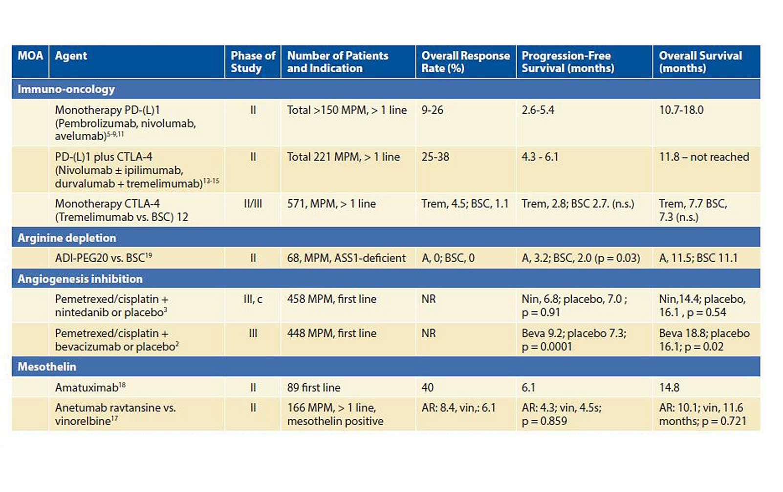 What Can We Offer a Patient with a Malignant Mesothelioma?