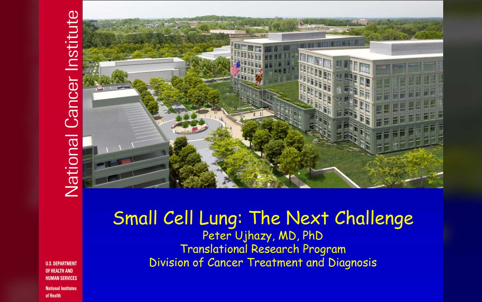 Small Cell Lung Cancer: The Next Challenge