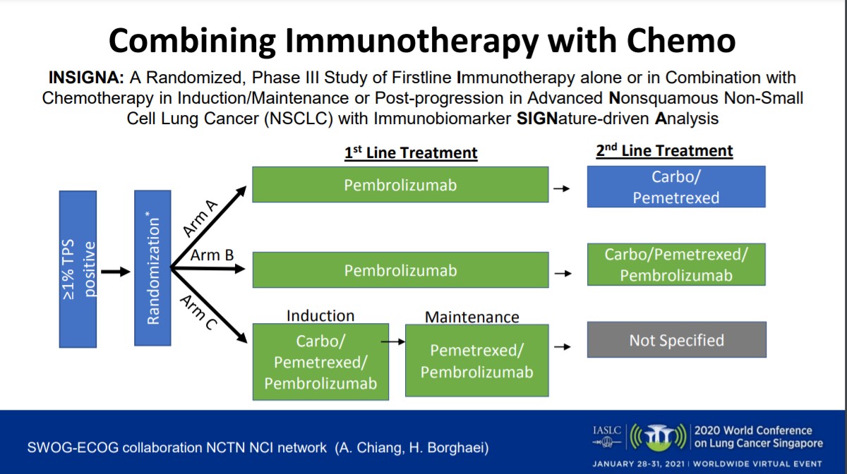 Use of Predictive Biomarkers, Incorporating Chemotherapy—What Is Best When Using Immunotherapy in
            Advanced NSCLC?