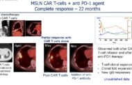 Translating Early Research to Adapt CAR T-Cell Therapy to Solid Tumors