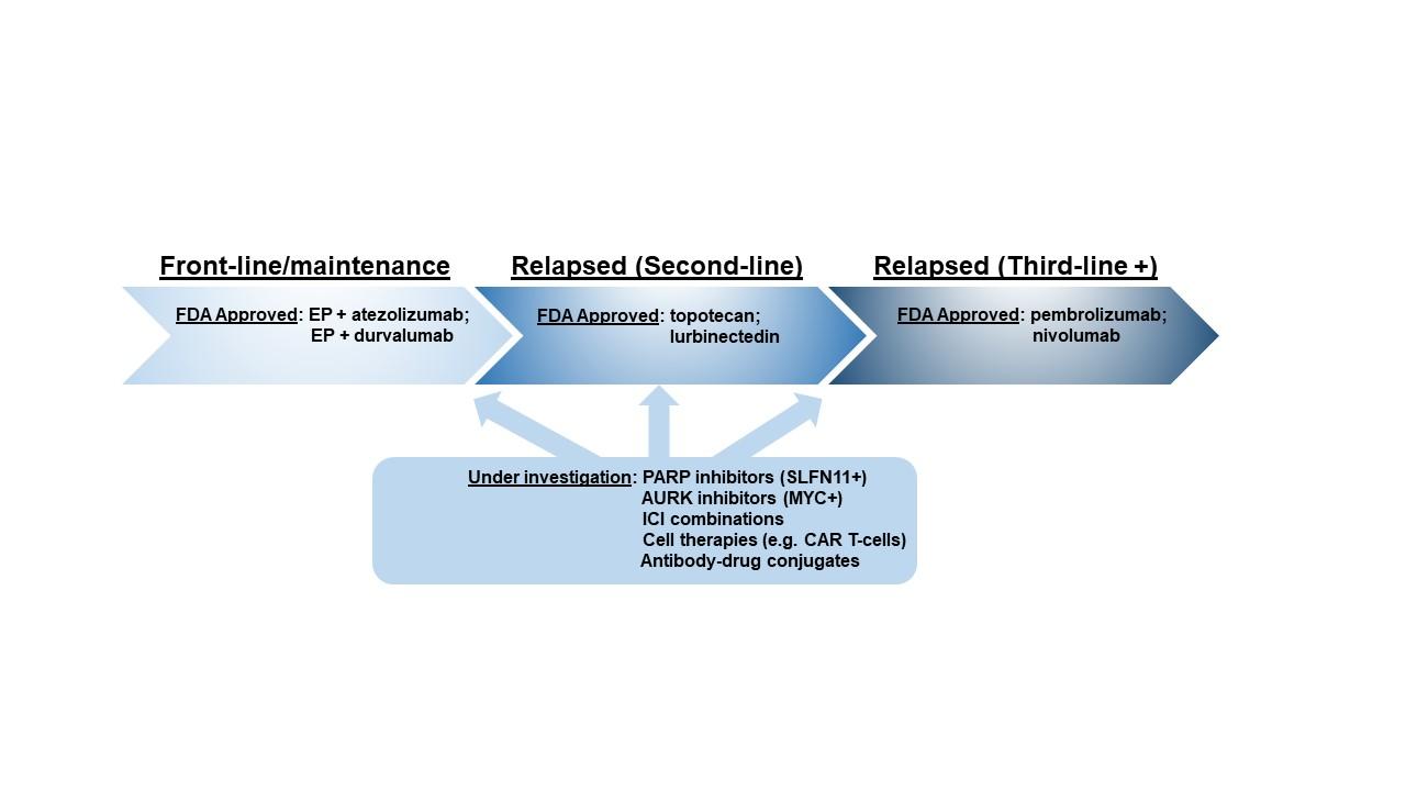 FDA Approval Flow Chart