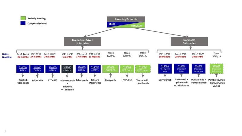 Lung map as described in the article 