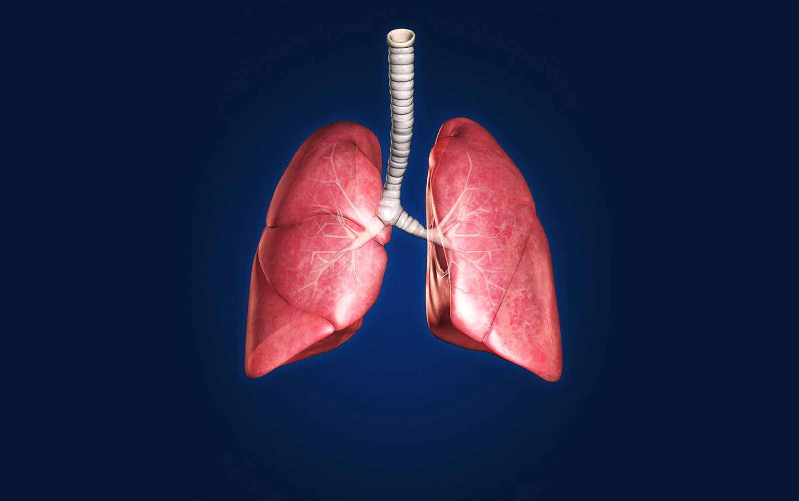 National Comprehensive Cancer Network NSCLC Guideline Updates for 2016: Non-Small Cell Lung Cancer