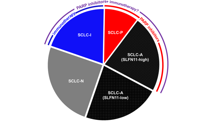 FIgure1