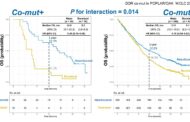 Co-mutations in DNA Damage-Response Pathways May Predict Effectiveness of Checkpoint Inhibitors in
            NSCLC