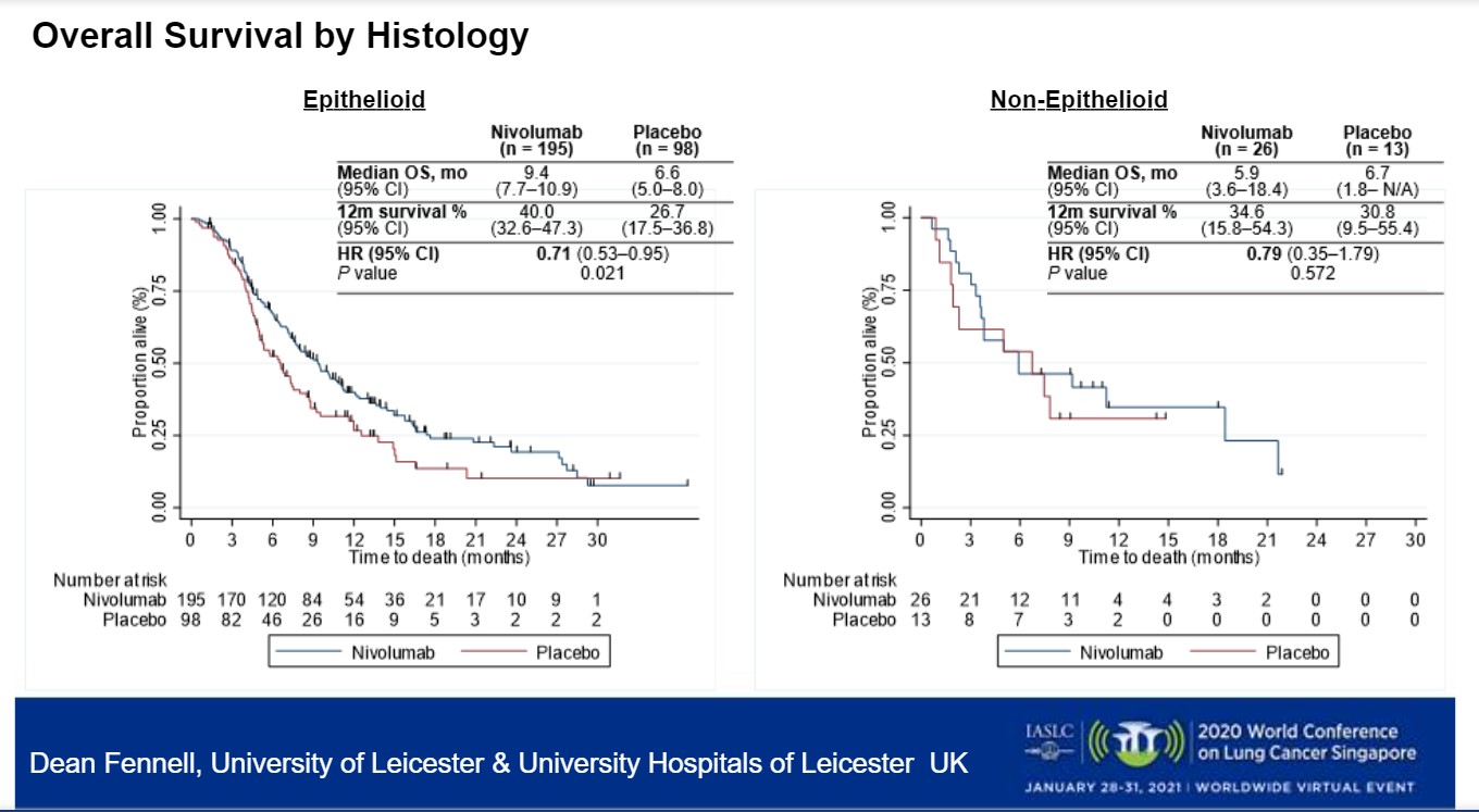 Nivolumab Boosted Survival in Relapsed Mesothelioma