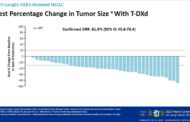 Trastuzumab Deruxtecan Potential New Treatment Options for HER2+ NSCLC