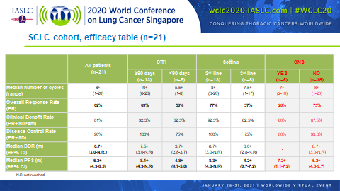 Promising Results for Lurbinectedin in SCLC When Paired with Irinotecan