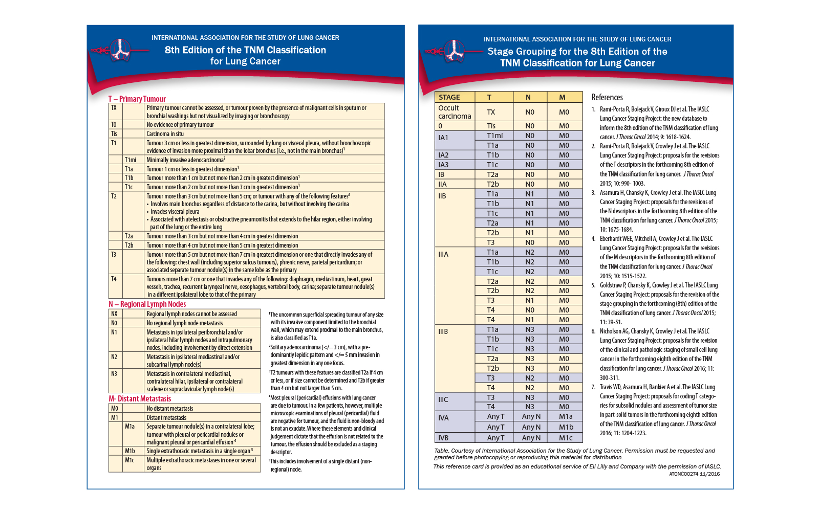 Comments on the 8th Edition of the TNM Classification of Lung Cancer