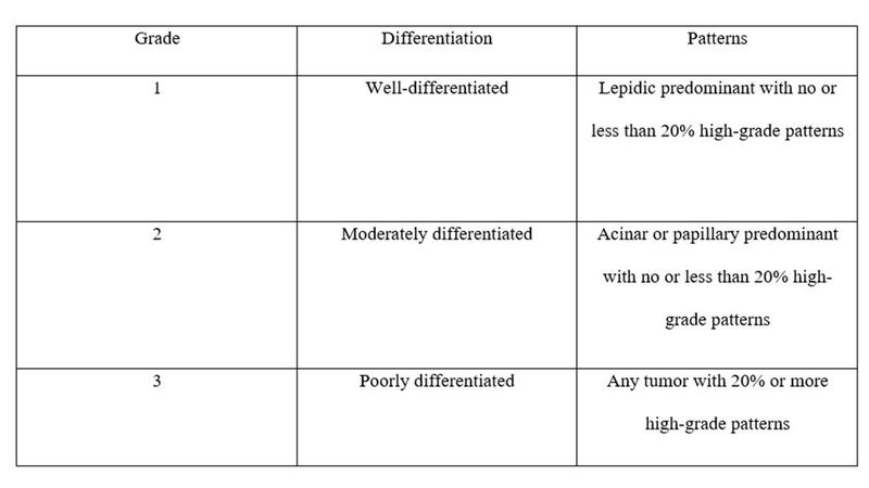 Table with info on IASLC Grading System