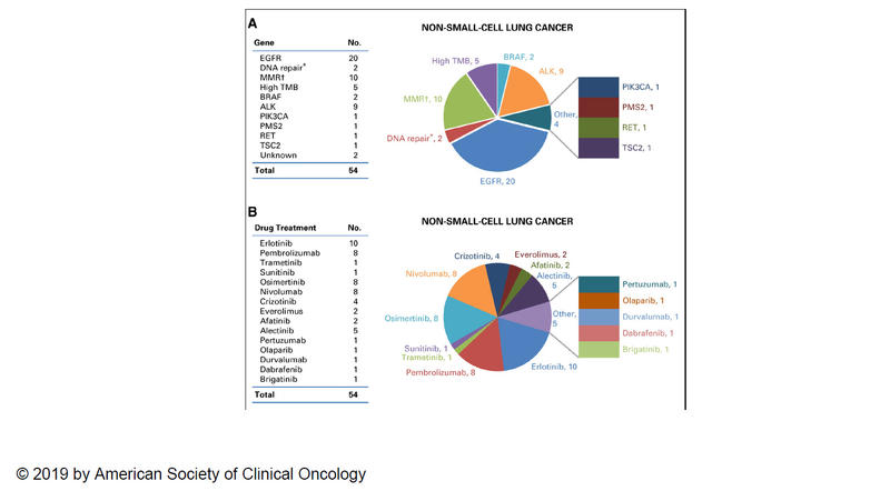 Non-Small Cell Lung Cancer 