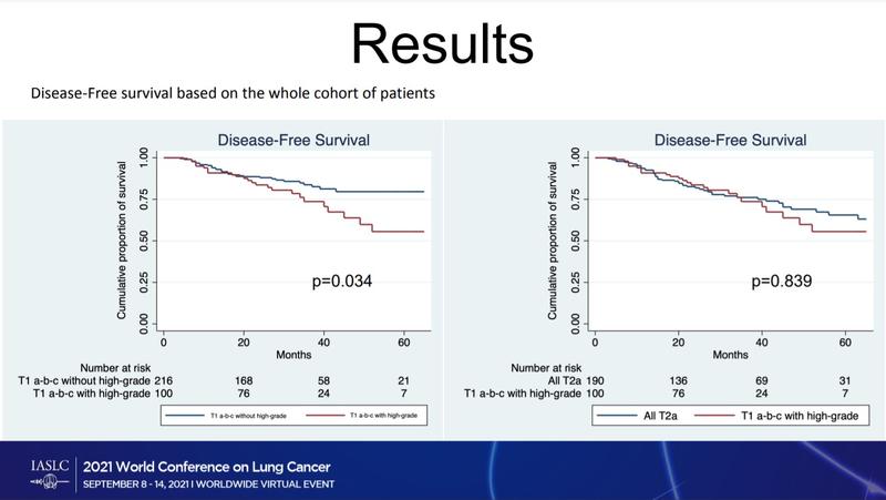 Disease Free survival based on the whole cohort of patients 