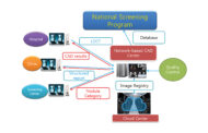A Cloud-Based Computerized System for the Korean Lung Cancer Screening Project