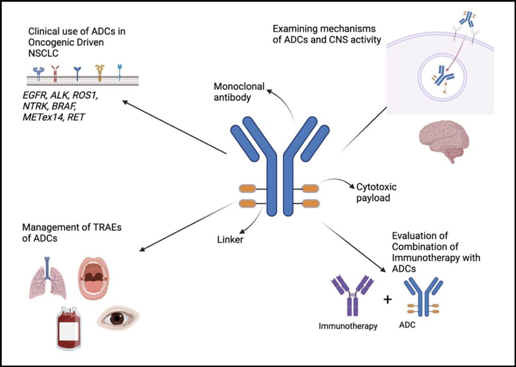 Figure 1: Current challenges and issues surrounding antibody drug conjugates.