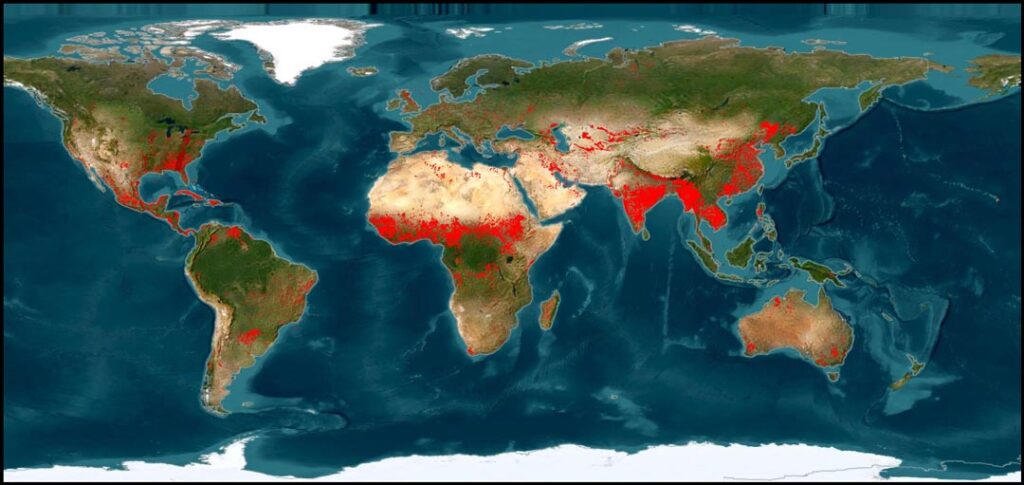 Global wildfire activity as of March 19, 2025. Source: NASA FIRMS